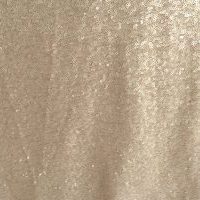 Champagne Sequins