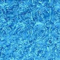 Blue Organza